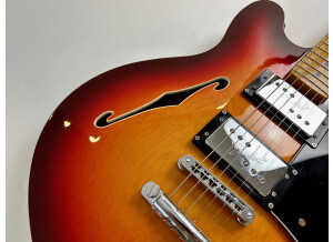 Fender Special Edition Starcaster Guitar (90308)