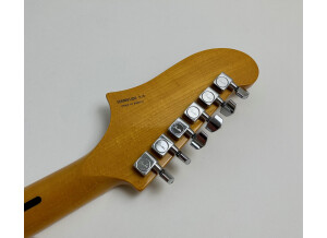 Fender Special Edition Starcaster Guitar (52495)