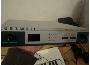 Kurzweil Micro Ensemble (12846)