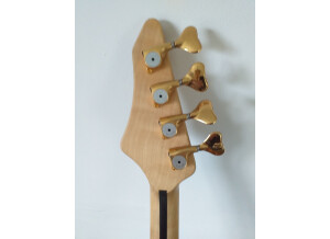 Vigier-05