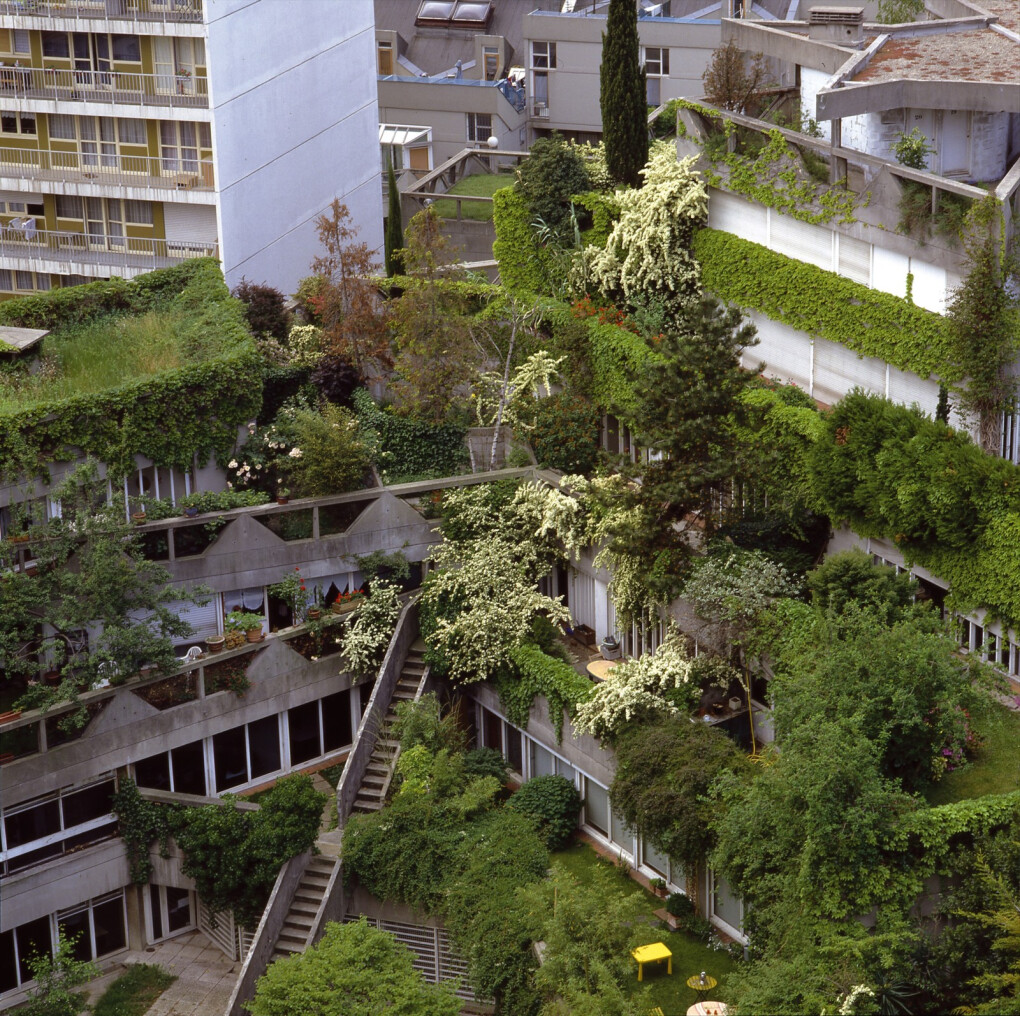 5549103.jpeg 5549103.jpeg