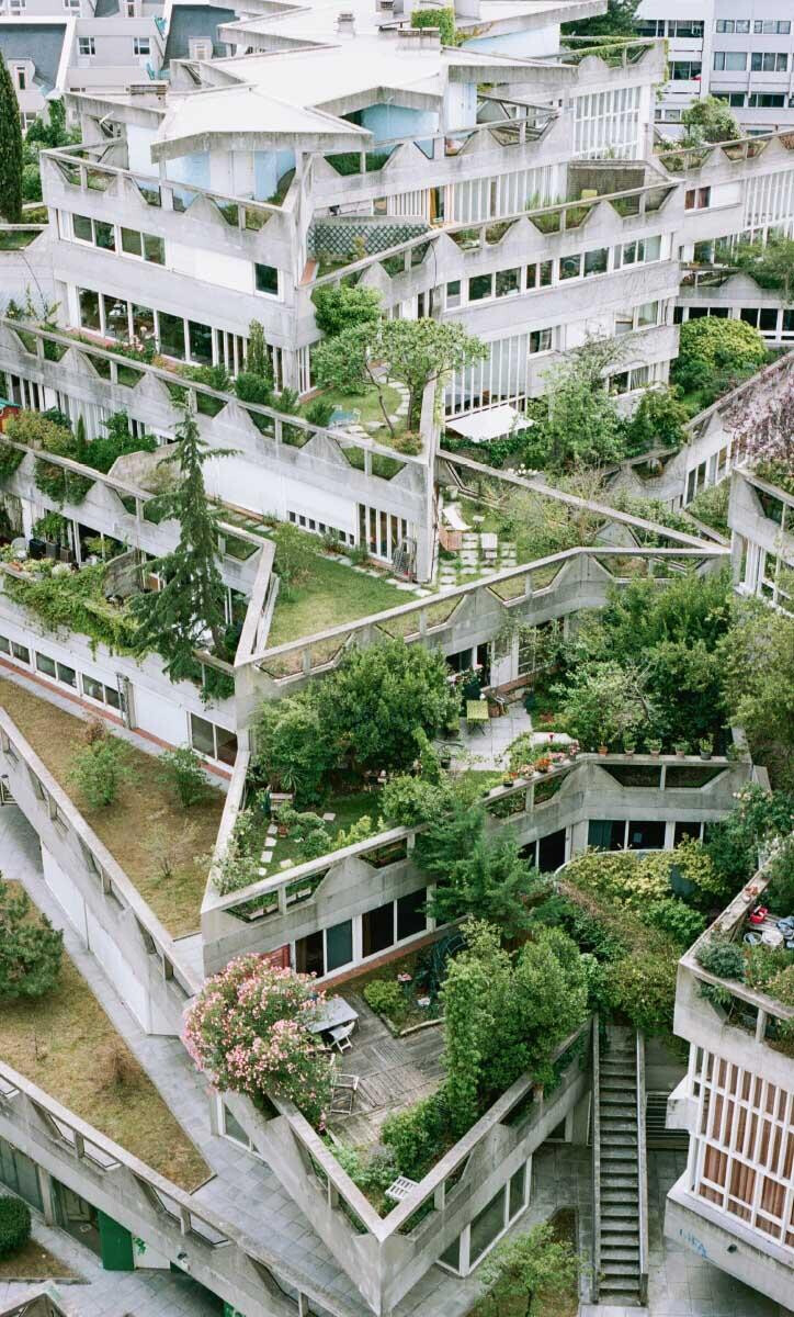 5549107.jpeg 5549107.jpeg