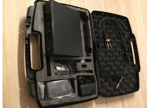 The T.bone IEM 100 (59185)