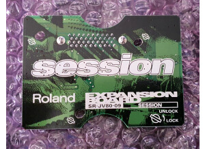 Roland SR-JV80-09 Session (54742)