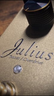 JuliusCloseUp JuliusCloseUp