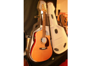 Seagull Performer Cw Cedar Gloss Quantum Ii