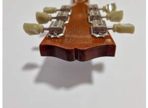 Gibson ES-333 (91806)