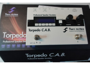 Two Notes Audio Engineering Torpedo C.A.B. (Cabinets in A Box) (84203)