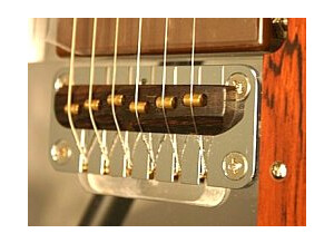 Dan Armstrong Plexi Guitar ADA6 (53247)