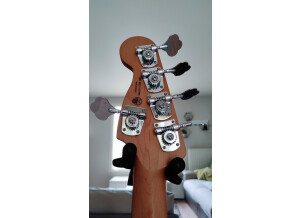 Fender Player Plus Jazz Bass V