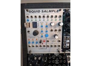 ALM Busy Circuit ALM022: Squid Salmpler (60925)
