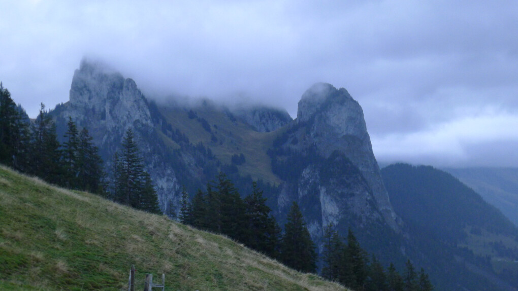 5557310.jpg 5557310.jpg