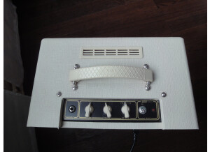 Vox AC4TV (48453)