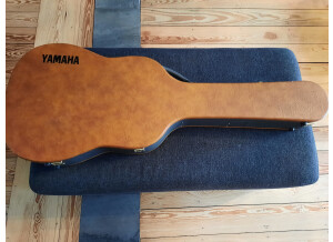 Yamaha APX700II