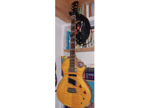 Epiphone Nighthawk Standard 3 (1466)