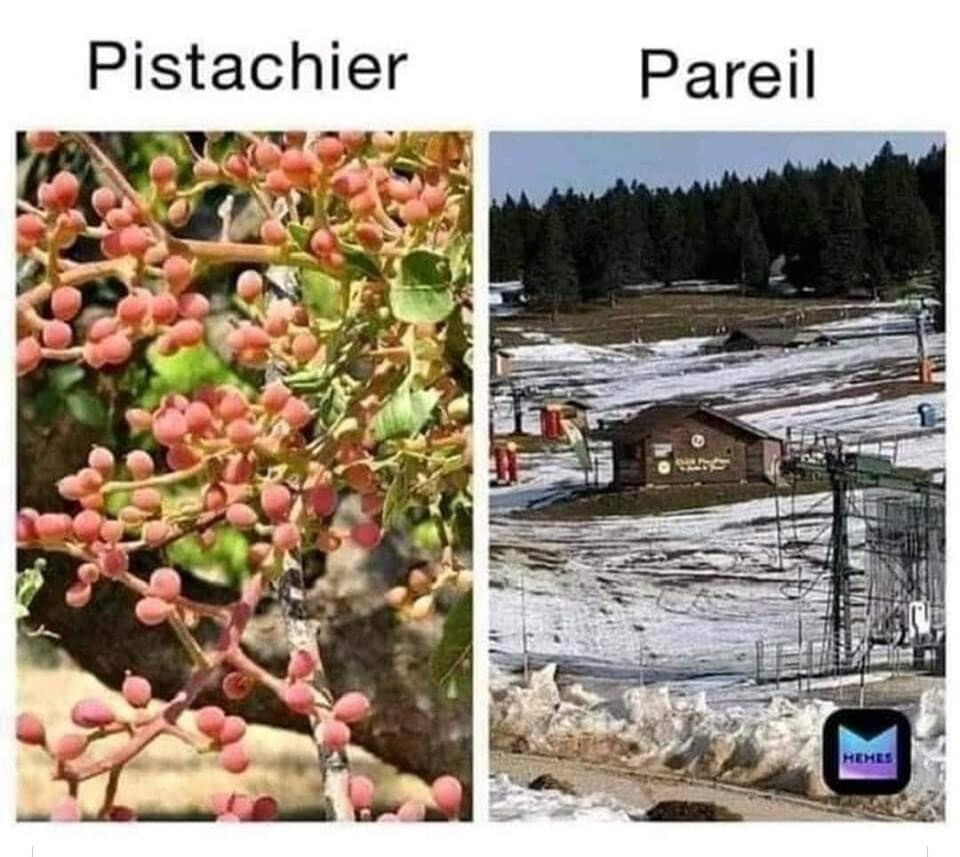 5558855.jpg 5558855.jpg