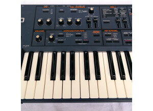 Roland JP-8000 (55259)