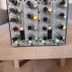 TX5C TX5C