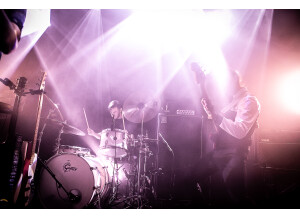 Gretsch Renown Maple (10395)