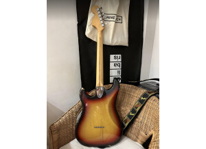 Fender Stratocaster [1965-1984] (65312)
