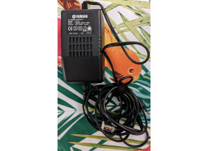 PXL 20220220 212613648