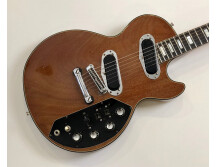 Gibson Les Paul Recording [1971-1980] (56126)
