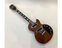 Gibson Les Paul Recording [1971-1980] (64466)