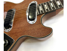 Gibson Les Paul Recording [1971-1980] (29223)
