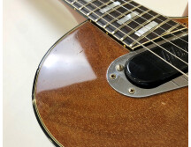Gibson Les Paul Recording [1971-1980] (39688)