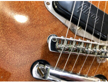 Gibson Les Paul Recording [1971-1980] (32428)