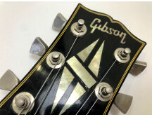 Gibson Les Paul Recording [1971-1980] (45287)