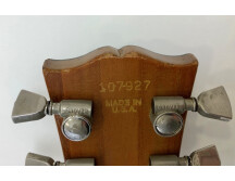 Gibson Les Paul Recording [1971-1980] (30894)