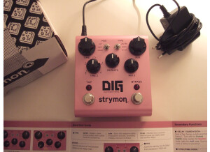 Strymon DIG (46444)
