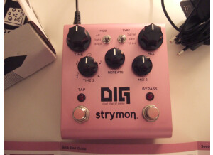Strymon DIG (13117)