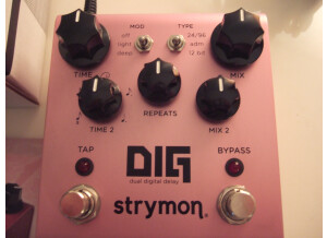 Strymon DIG (84330)