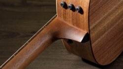 Taylor AD17e : AD17eneck Taylor AD17e : AD17eneck