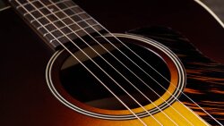 Taylor AD17e : AD17erosette Taylor AD17e : AD17erosette