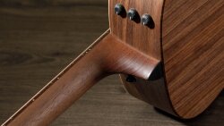 Taylor AD11e : AD11eneck Taylor AD11e : AD11eneck