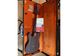 Fender George Harrison Tribute Rosewood Telecaster