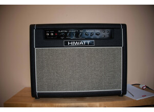 Hiwatt DG-212 - David Gilmour Custom 50 Combo 212 (17573)