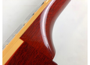 Gibson Les Paul Standard (13875)