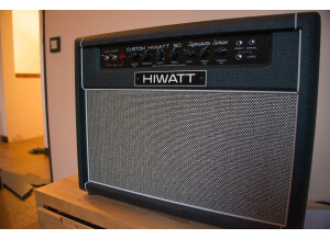 Hiwatt DG-212 - David Gilmour Custom 50 Combo 212 (8987)