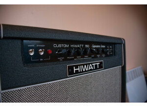 Hiwatt DG-212 - David Gilmour Custom 50 Combo 212 (34733)