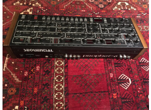 Sequential Prophet-6 Module (32213)
