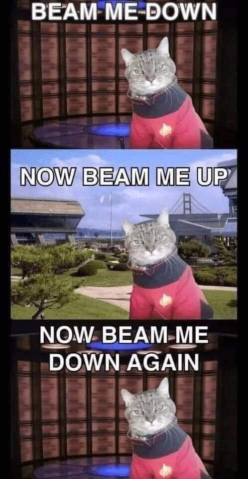 5567575.jpg 5567575.jpg