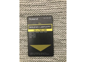 Roland SN-R8-08 : Dry (4012)