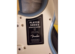 Fender Player Stratocaster (78870)