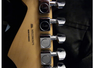 Fender Player Stratocaster (21521)