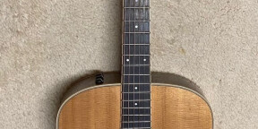 VENDS TAYLOR DS4e - (électro-acoustique)