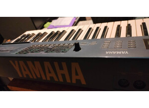 Yamaha AN1X (27602)